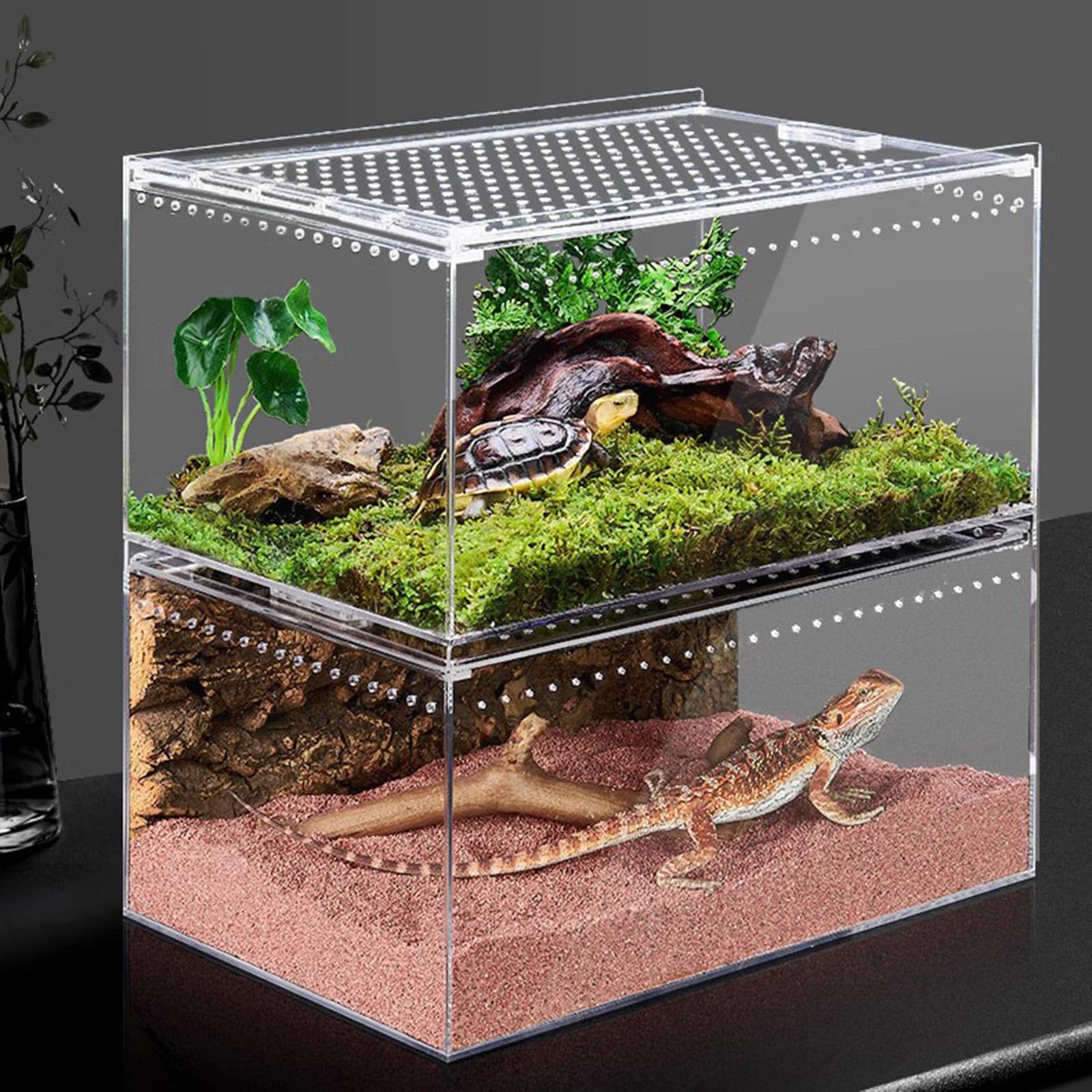 Amazon | アクリル爬虫類コンテナ マグネット アクリル爬虫類ケージ